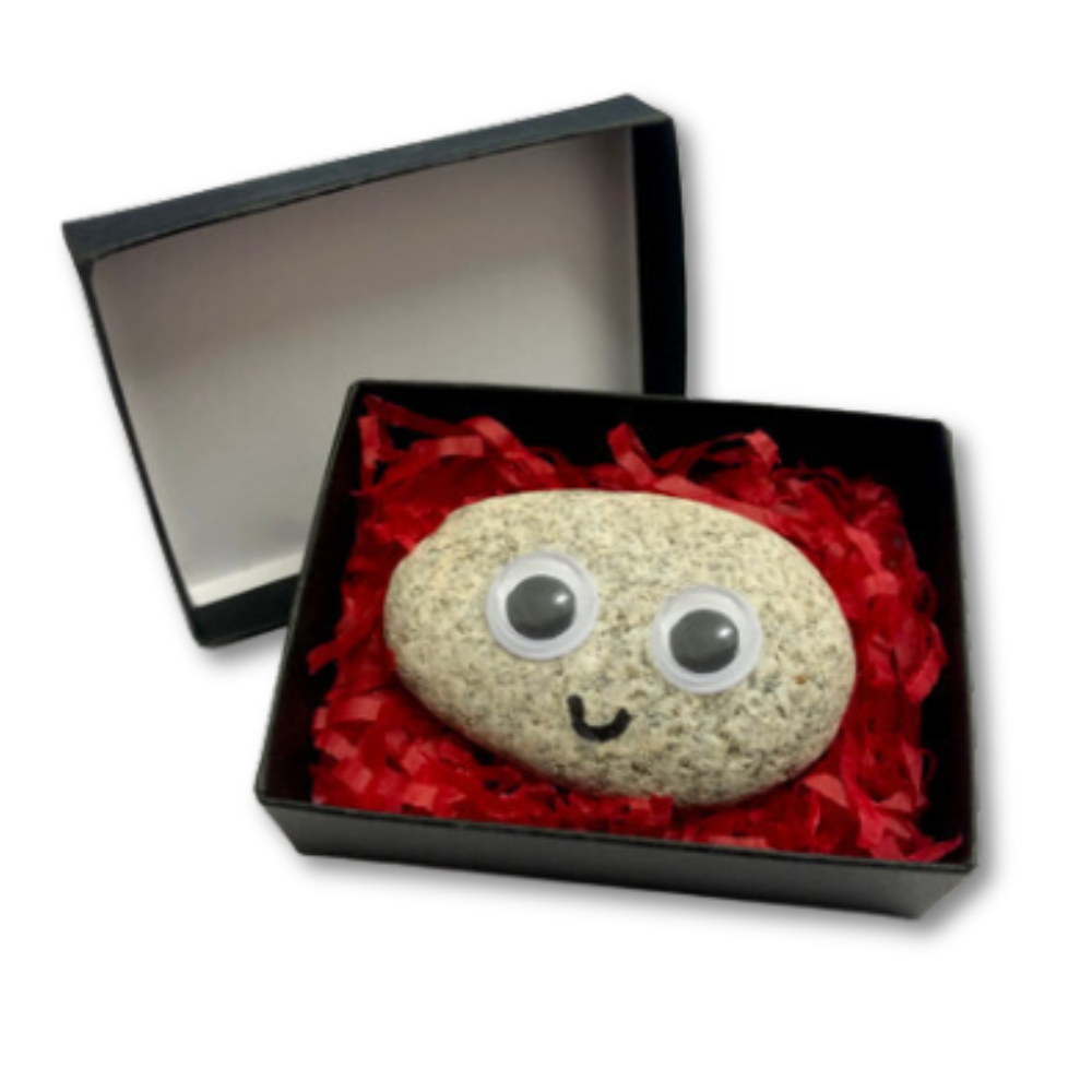 Pet rock with googly eyes and smile inside of black box with red box filler