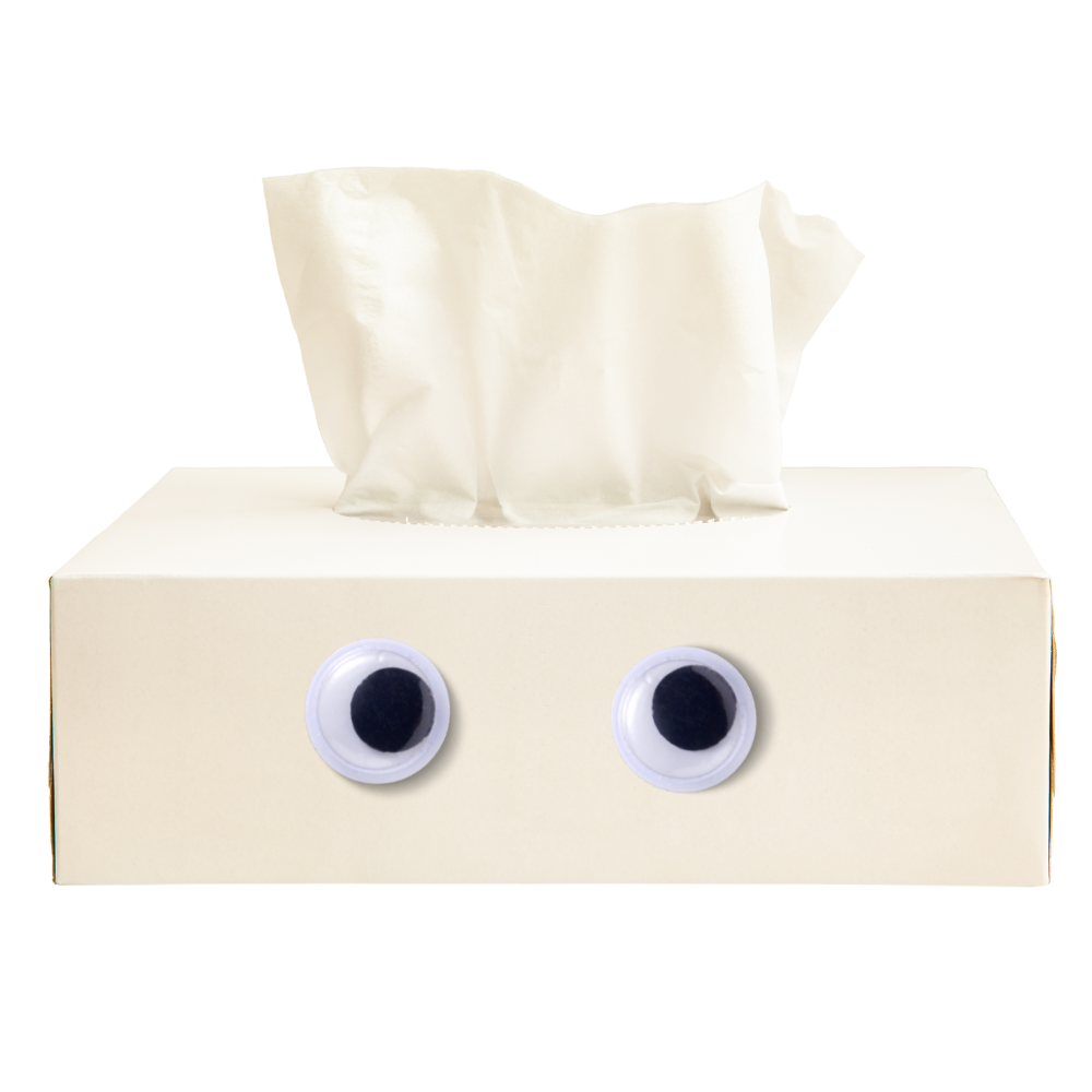 Tissue Box with Googly Eyes