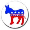 Democrats Donkey Badge