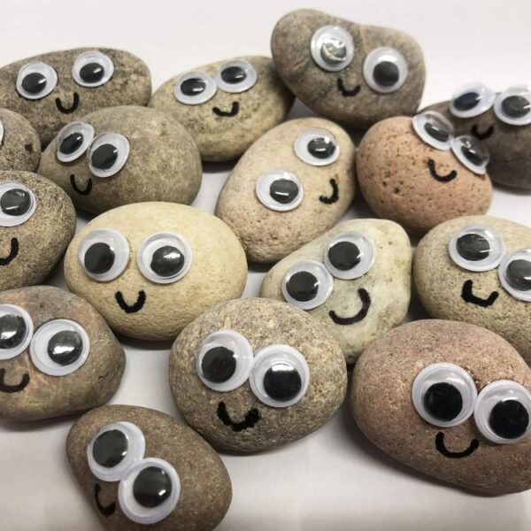 A collection of Pet Rocks, each with googly eyes and a smiling face. Unique stones make for fun, novelty gifts perfect for quirky occasions.