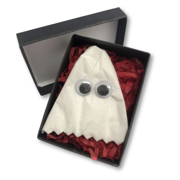 Pet Ghost - Funny Joke Gift