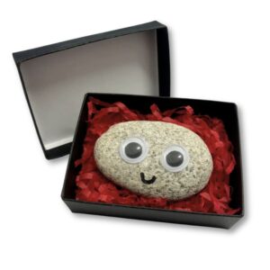 Pet Rock in a black gift box, surrounded by red shredded paper. Features googly eyes and a smiling face, perfect as a funny and unique gift.