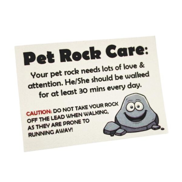 Pet Rock care instruction card with humorous details, advising owners to give attention and pretend to walk their pet rock. A lighthearted addition to the Pet Rock gift set.