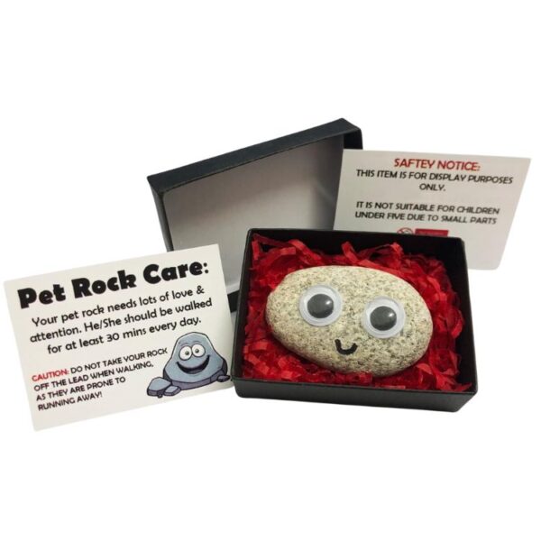 Pet Rock in a gift box, featuring cards with pet rock care instructions and safety notice. A fun gag gift that comes with playful care advice.