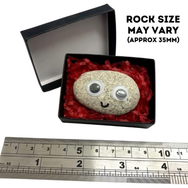 Pet Rock in a gift box with a ruler showing the size (approximately 35mm). Comes with red shredded paper packaging, making it a unique novelty gift.