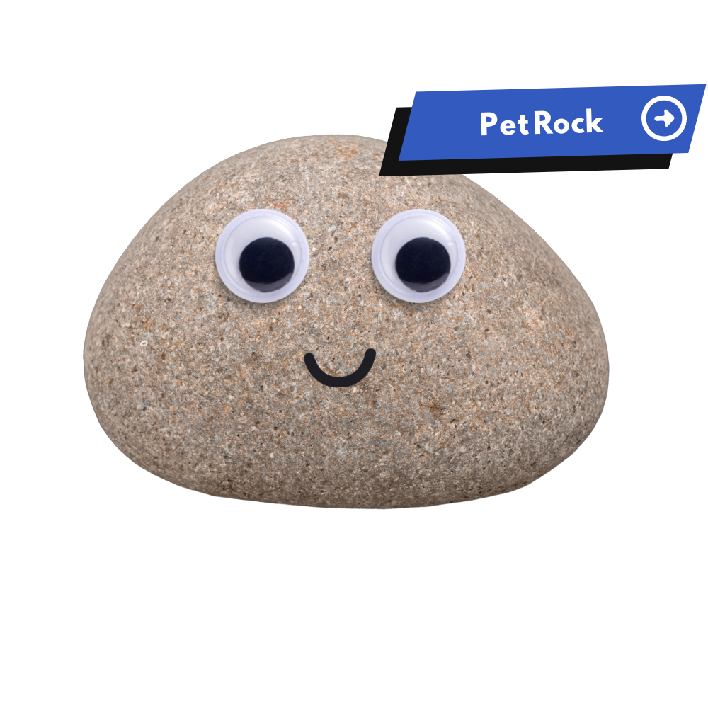 A pet rock with googly eyes and a button that says "Pet Rock."