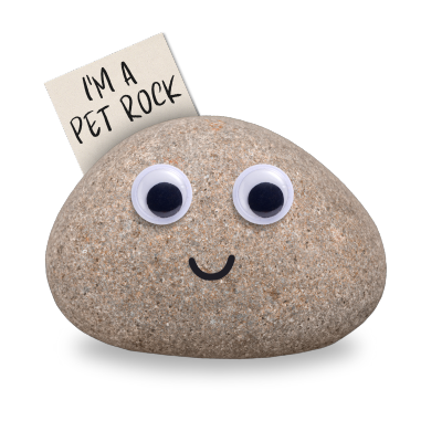 Pet Rock with a smiling face and googly eyes, holding a tag that reads 'I'm a Pet Rock.' Ideal as a novelty gift or a funny desk decoration.