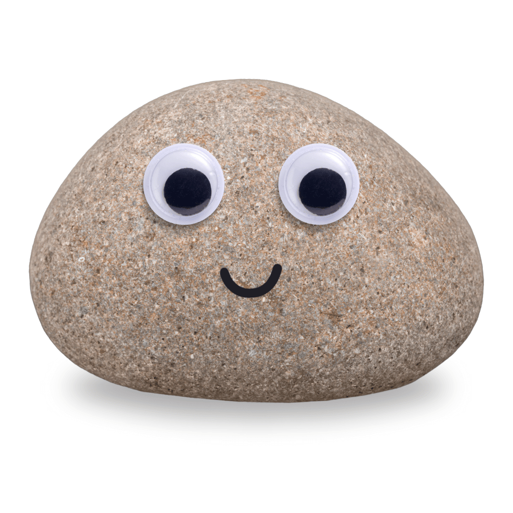 A pet rock with googly eyes smiling