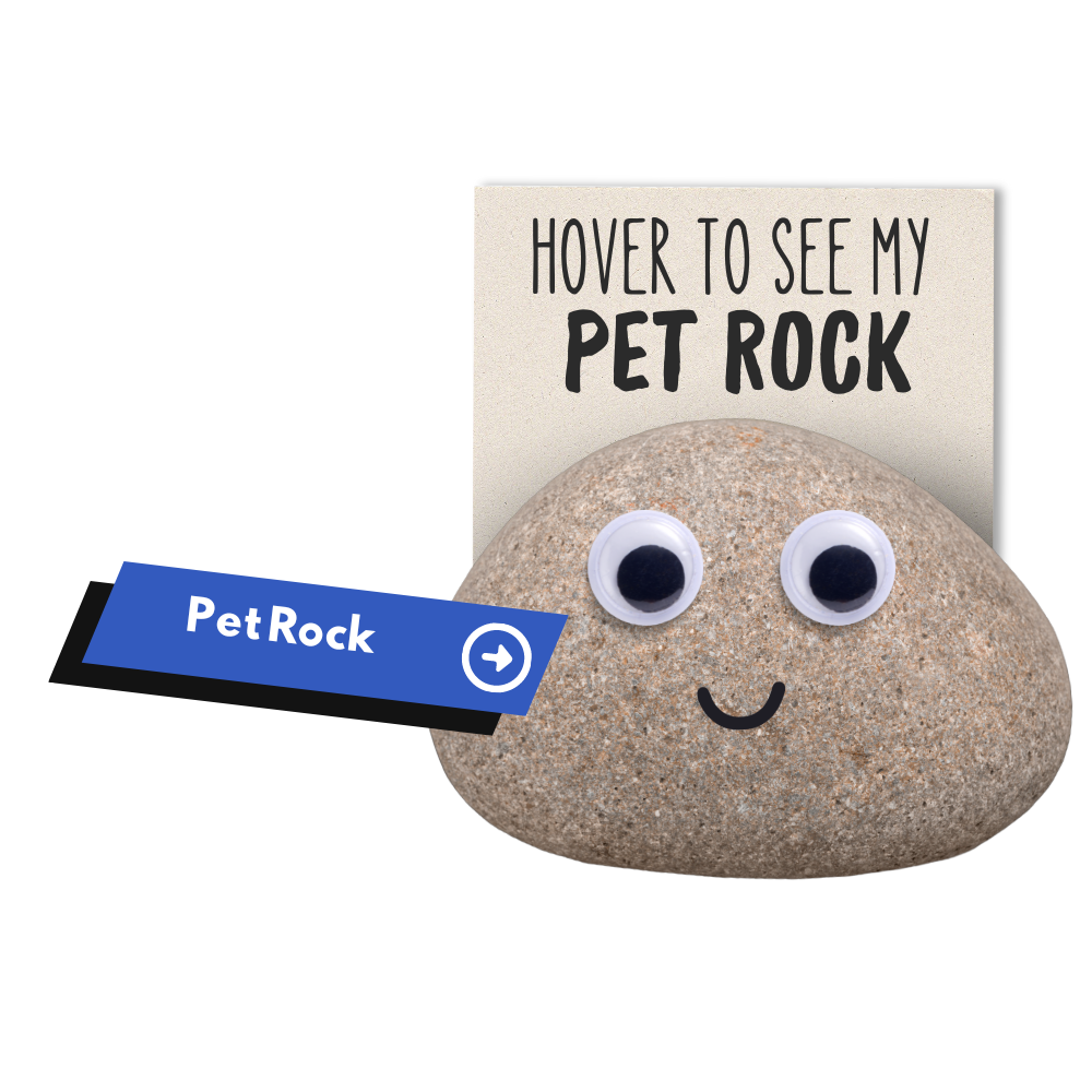 A pet rock with googly eyes and a note that says "HOVER TO SEE MY PET ROCK," with a tag reading "PetRock."