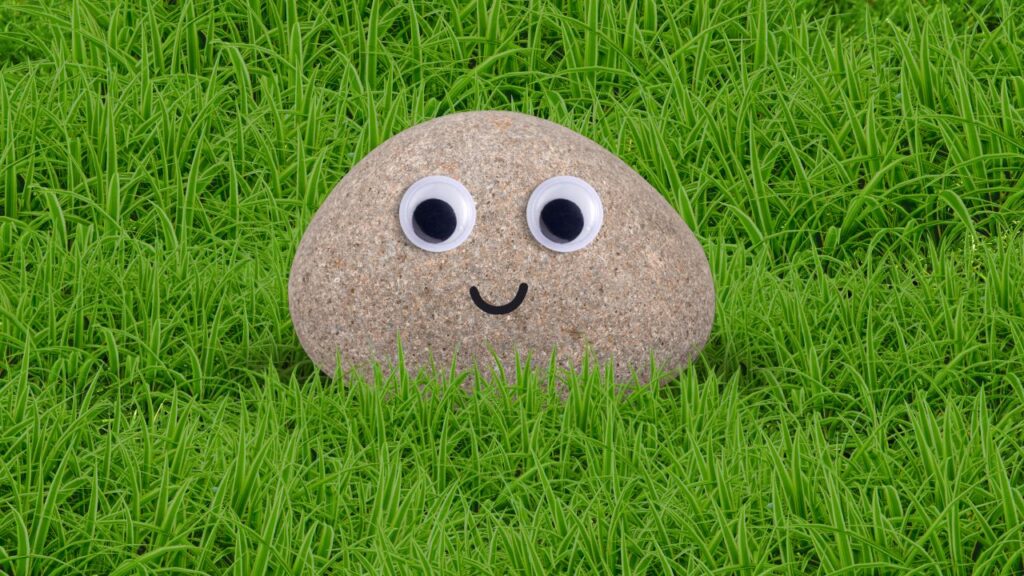 Pet rock with googly eyes sitting on green grass, a quirky last-minute birthday gift idea