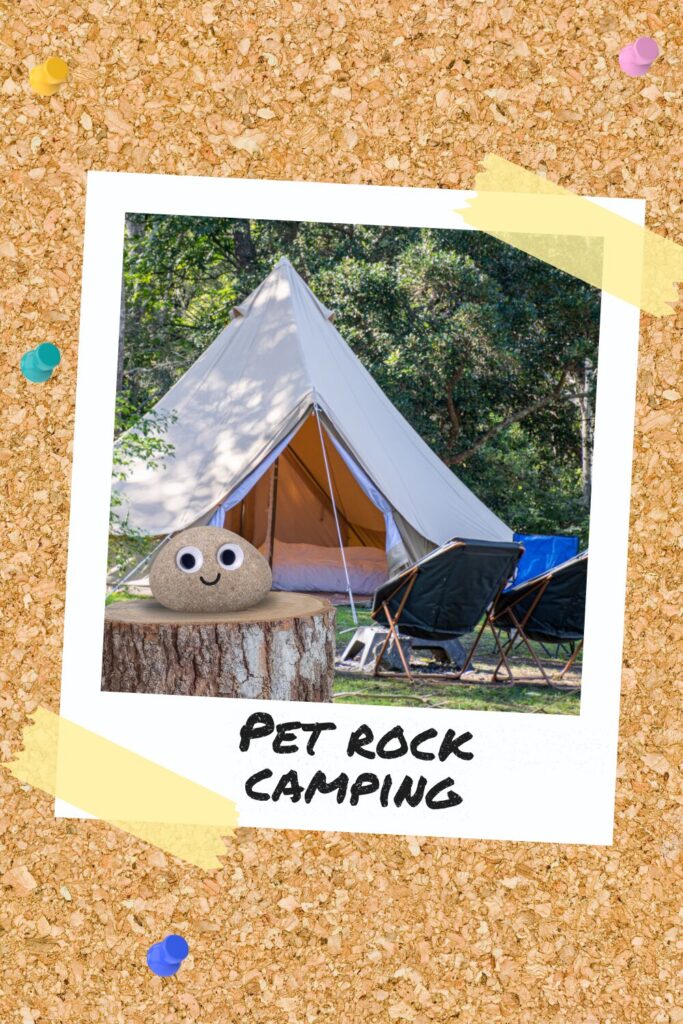 A pet rock with googly eyes sitting on a tree stump in front of a tent at a campsite.