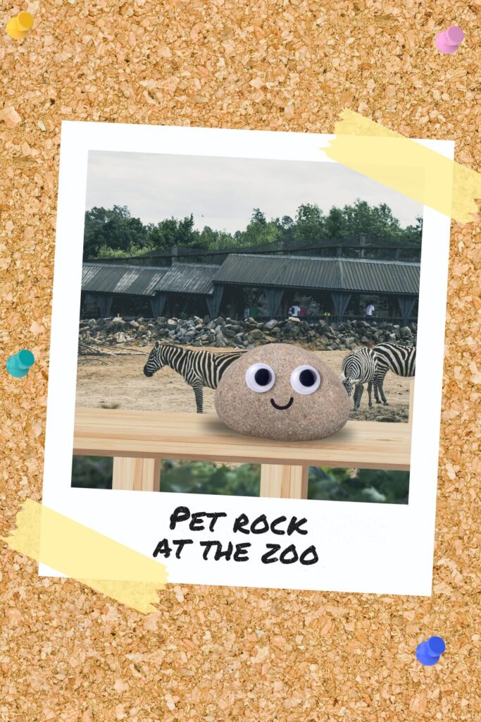 A pet rock with googly eyes on a wooden railing, with zebras and zoo enclosures in the background.